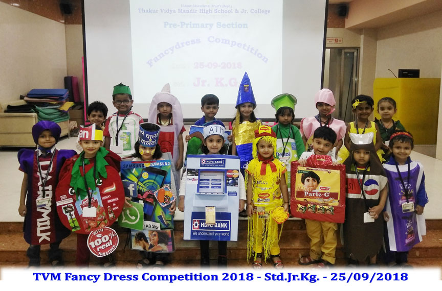 Fancy Dress Competition